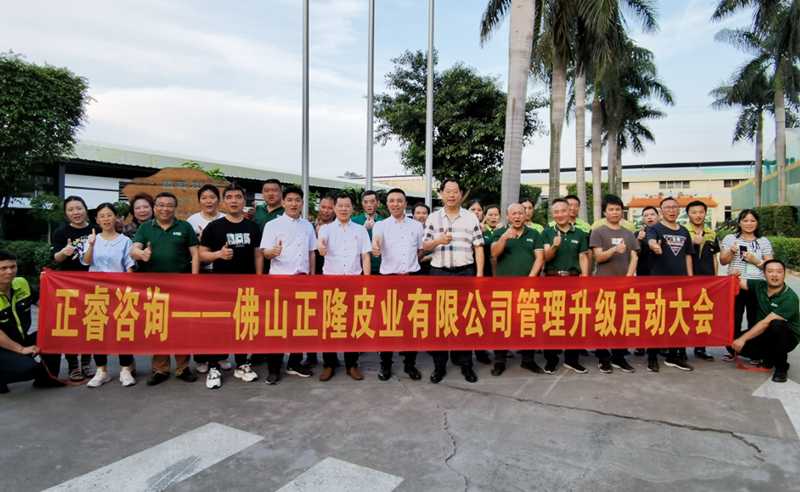 助力皮革行業(yè)再樹標桿——正隆皮業(yè)全面管理升級項目啟動！