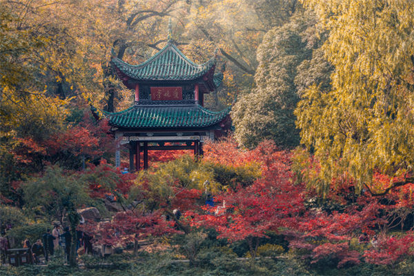 長沙薪酬咨詢公司如何設(shè)計合理的薪酬結(jié)構(gòu)與體系？