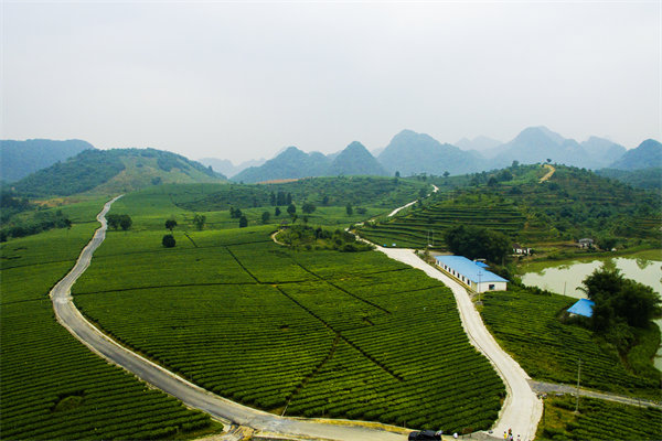 清遠(yuǎn)營(yíng)銷咨詢公司深挖需求，如何為品牌打造直擊消費(fèi)痛點(diǎn)的賣點(diǎn)？