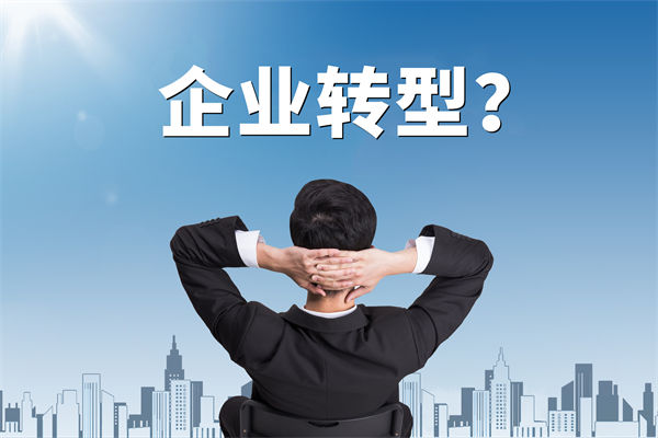企業(yè)轉(zhuǎn)型無(wú)方向，數(shù)智化咨詢公司能否指引明路？