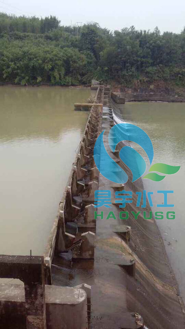 �Ԅӷ����T